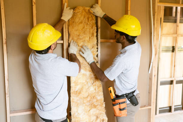 Best Insulation Removal  in Mountain Home, AR