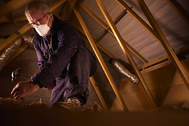 Best Blown-in Insulation  in Mountain Home, AR