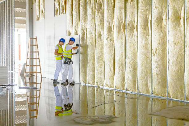 Best Soundproof Insulation Installation  in Mountain Home, AR